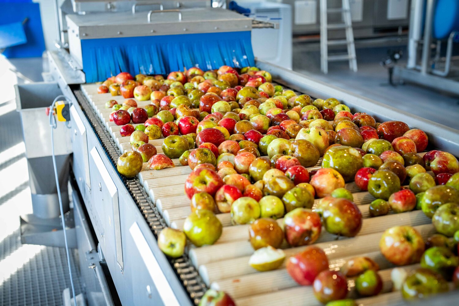 Transformation des pommes