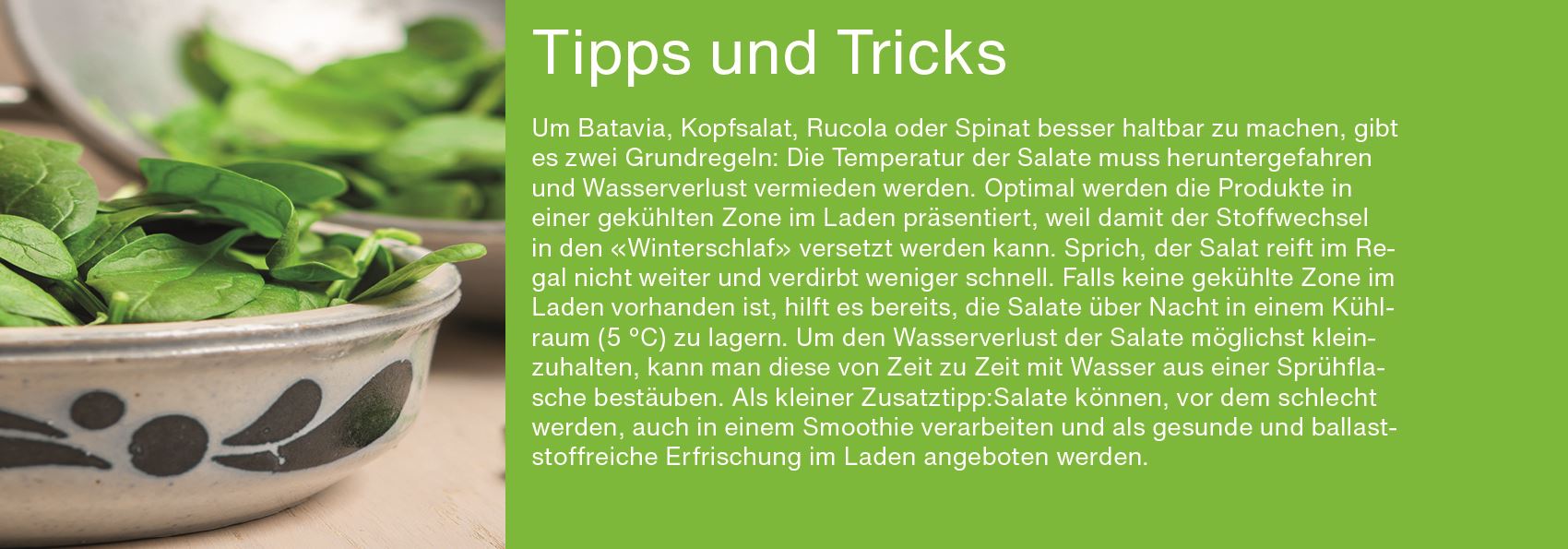 Tipps und Tricks Salate DE