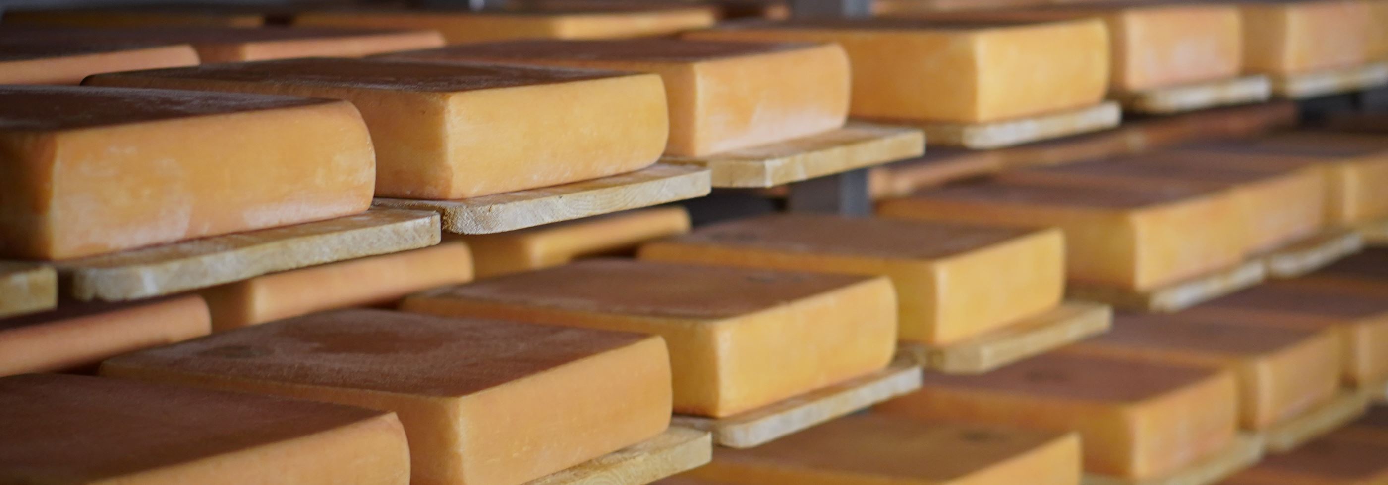 Käse in der Reifekammer der Brülisauer Käse AG