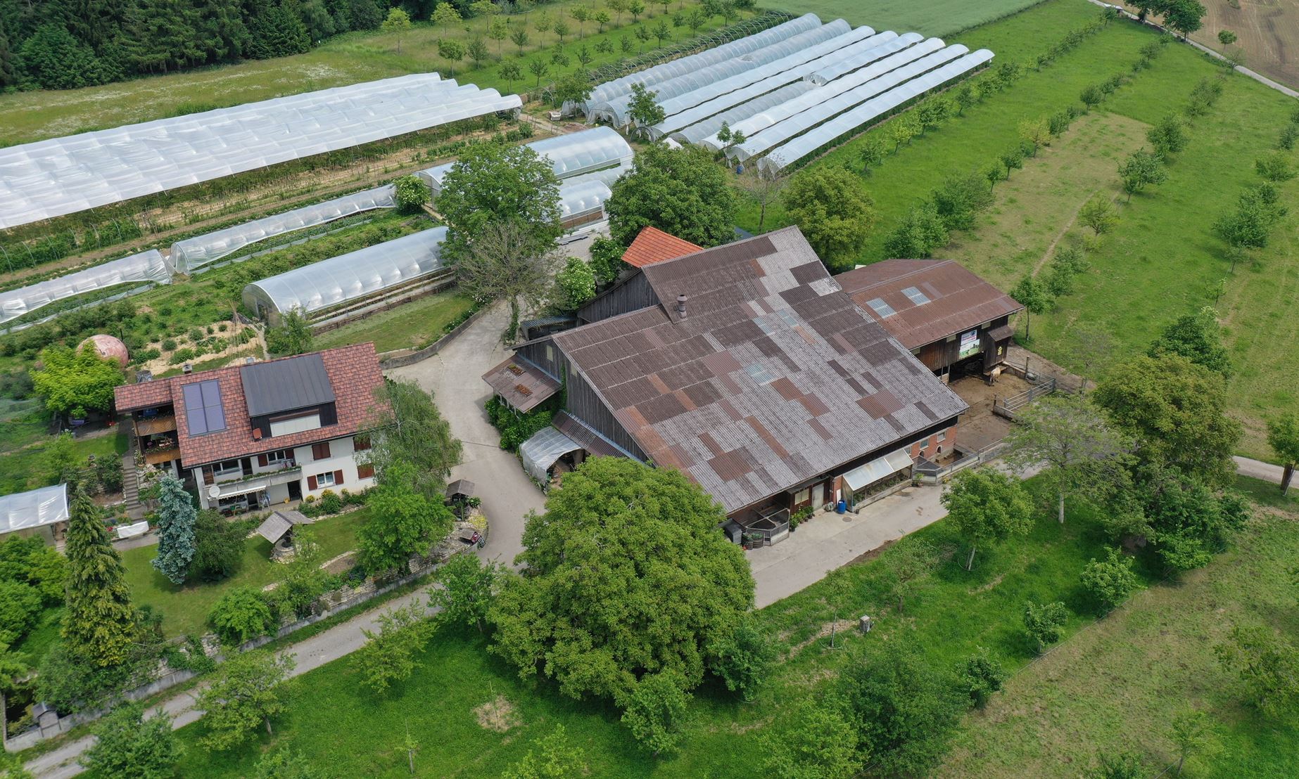 Kaufmanns Demeter-Bauernhof in Ballwil (LU)